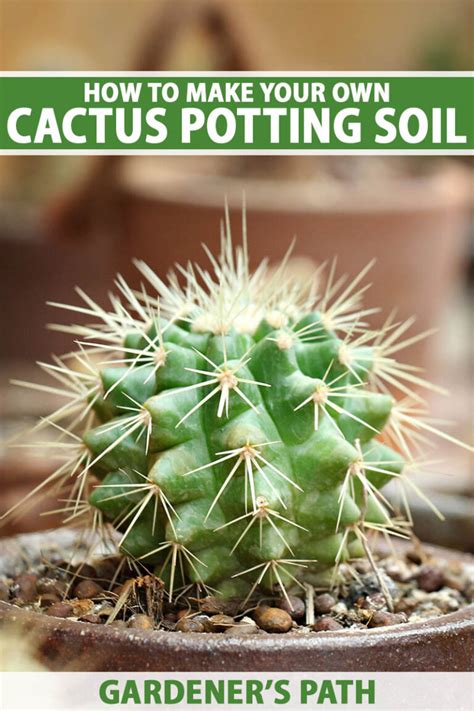 How to Make Your Own Cactus Potting Soil .